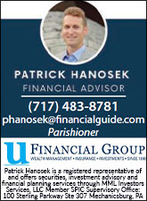 Financial Advisor-MML Investors Services Tall Sponsorship Banner