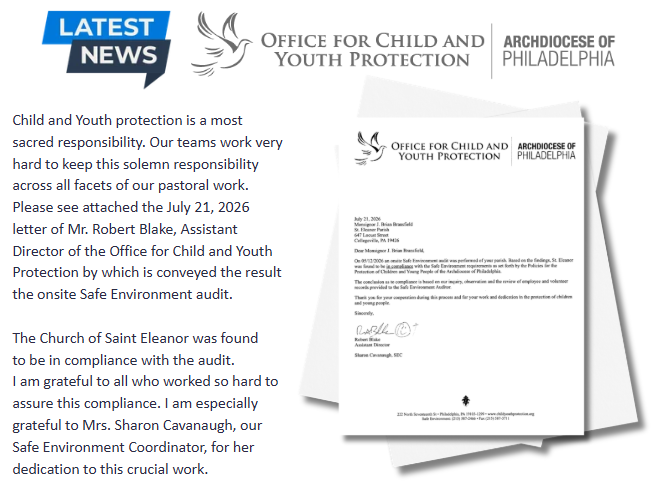 Protecting God’s Children, Safe Environment Audit 